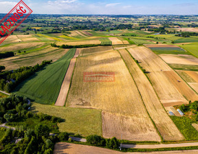 Działka na sprzedaż, Proszowicki Nowe Brzesko Grębocin, 660 000 zł, 40 000 m2, 3147/6342/OGS