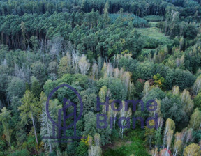 Budowlany na sprzedaż, Trzebnicki Oborniki Śląskie Jary Dębowa, 374 500 zł, 4047 m2, 503134