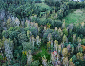 Budowlany na sprzedaż, Trzebnicki Oborniki Śląskie Jary Dębowa, 374 500 zł, 4047 m2, 388873