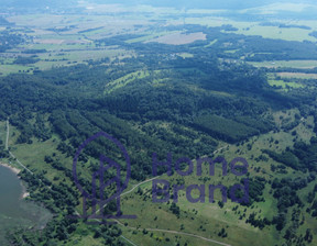 Działka na sprzedaż, Kamiennogórski Lubawka Szczepanów, 4 128 000 zł, 103 200 m2, 945607