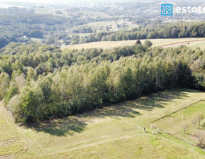 Budowlany na sprzedaż, Rzeszowski Chmielnik Borówki, 250 000 zł, 2742 m2, 457/5638/OGS