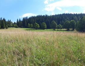 Działka na sprzedaż, Suski Zawoja, 1 200 000 zł, 11 000 m2, GS-12879