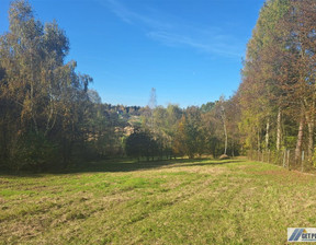 Rolny na sprzedaż, Krakowski Lusina, 480 000 zł, 5091 m2, GS-12954-29