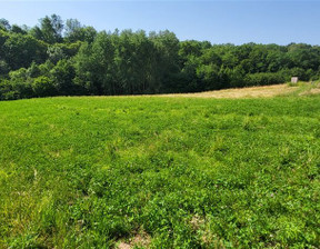 Rolny na sprzedaż, Krakowski Chorowice, 820 000 zł, 3711 m2, GS-12282-1