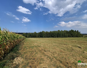 Działka na sprzedaż, Bielski Jasienica Rudzica, 540 000 zł, 7178 m2, 1081/4158/OGS