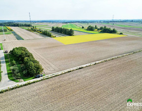 Działka na sprzedaż, Lubelski Niemce Dziuchów, 99 900 zł, 10 900 m2, 1100/4158/OGS