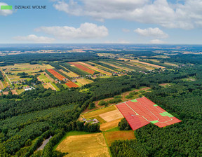 Działka na sprzedaż, Rawski (pow.) Biała Rawska (gm.), 54 900 zł, 557 m2, 1208