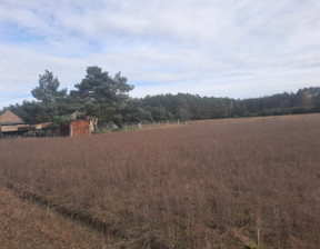 Działka na sprzedaż, Nowotomyski (Pow.) Zbąszyń (Gm.) Stefanowice, 69 000 zł, 934 m2, 6