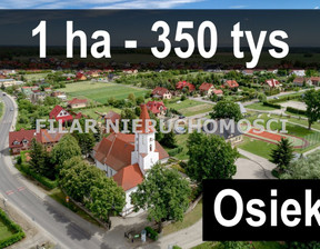 Działka na sprzedaż, Lubiński Lubin Osiek, 350 000 zł, 10 000 m2, GS-6653