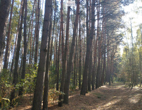 Leśne na sprzedaż, Buski (Pow.) Busko-Zdrój (Gm.) Kawczyce Działka nr 260101_5.0014.145   1,54 ha, 139 000 zł, 15 400 m2, 4665