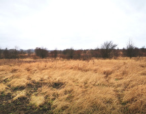 Działka na sprzedaż, Stargardzki Kobylanka Morzyczyn Brzozowa, 97 000 zł, 924 m2, AVN21976