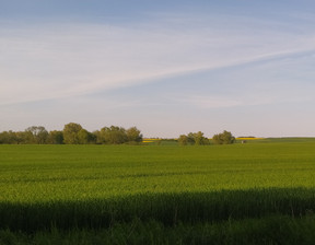 Budowlany na sprzedaż, Choszczeński Recz, 70 000 zł, 1743 m2, AVN22240