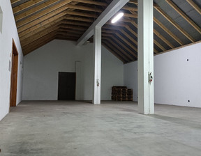 Magazyn do wynajęcia, Kielecki Bieliny, 5000 zł, 170 m2, PRP-HW-74393