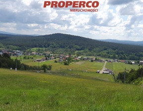 Komercyjne na sprzedaż, Kielecki Daleszyce Niestachów, 4 987 766 zł, 300 m2, PRP-LS-72735