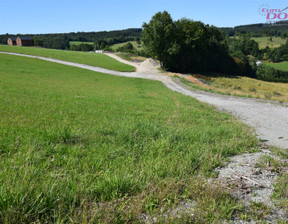 Działka na sprzedaż, Wałbrzyski Walim Zagórze Śląskie, 130 000 zł, 1350 m2, EDN-GS-5281