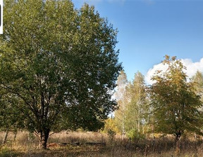 Działka na sprzedaż, Bytów Kołczygłowy Jezierze Obr. Radusz Jezierze, 99 000 zł, 10 000 m2, WX0440