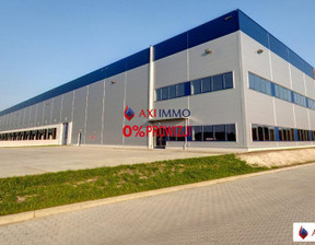 Magazyn do wynajęcia, Warszawa Targówek, 60 000 euro (255 600 zł), 10 000 m2, 8442