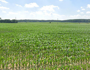 Działka na sprzedaż, Szamotulski Pniewy, 4 000 000 zł, 100 000 m2, 8783