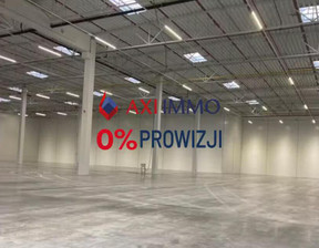 Magazyn do wynajęcia, Rzeszowski Rzeszów, 29 700 euro (123 552 zł), 6000 m2, 9161