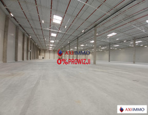 Magazyn do wynajęcia, Łódź Widzew, 11 400 euro (49 590 zł), 3000 m2, 8516