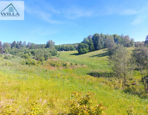 Budowlany na sprzedaż, Wałbrzyski Jedlina-Zdrój, 160 140 zł, 1884 m2, WIL-GS-4337