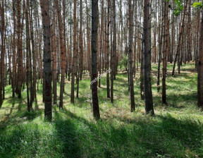 Działka na sprzedaż, Żniński (Pow.) Gąsawa (Gm.) Drewno, 1 223 500 zł, 244 700 m2, ZOHU828