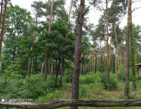 Działka na sprzedaż, Legionowski (Pow.) Legionowo, 999 000 zł, 1450 m2, NEMYs833