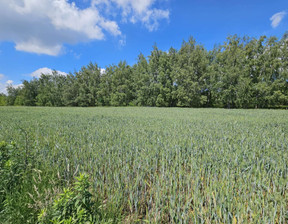 Działka na sprzedaż, Piaseczyński (pow.) Lesznowola (gm.) Władysławów, 2 690 100 zł, 8967 m2, SUJUs359