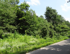 Budowlany na sprzedaż, Zamojski Krasnobród Hucisko Hucisko, 195 000 zł, 27 100 m2, 479