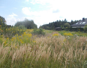 Handlowo-usługowy na sprzedaż, Świdnicki (Pow.) Świdnik, 400 000 zł, 3414 m2, SDz-226D