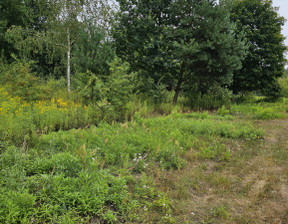 Działka na sprzedaż, Piaseczyński Prażmów Ustanów Kasztanów, 380 000 zł, 1250 m2, PN308134