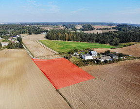 Działka na sprzedaż, Starogardzki Starogard Gdański Rywałd Lipowa, 150 000 zł, 3033 m2, M308466