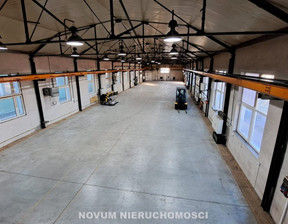 Magazyn do wynajęcia, Tarnogórski Tarnowskie Góry, 24 900 zł, 830 m2, NOV-HW-4817