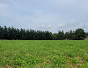 Działka na sprzedaż, Tychy Wilkowyje Willowa, 276 000 zł, 831 m2, 16760919