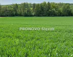 Działka na sprzedaż, Trzebnicki Oborniki Śląskie Borkowice, 120 000 zł, 3000 m2, PROD-GS-828