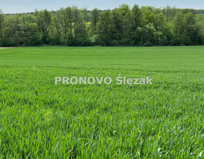 Działka na sprzedaż, Trzebnicki Oborniki Śląskie Borkowice, 121 496 zł, 3000 m2, PROD-GS-828