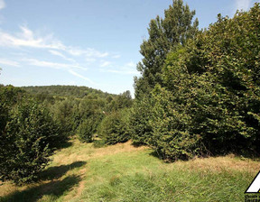 Budowlany na sprzedaż, Lwówecki Lwówek Śląski Płóczki Górne przy asfalcie, 290 000 zł, 37 700 m2, 57030691