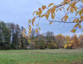 Działka na sprzedaż, Zgierski Zgierz Dąbrówka Wielka, 260 000 zł, 2995 m2, ETR-GS-1083-91