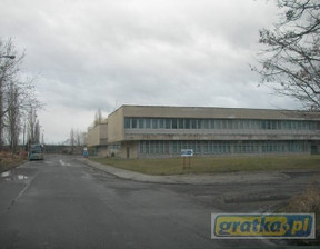 Biuro na sprzedaż, Opolski (pow.) Tułowice (gm.) Tułowice Porcelitowa, 2 350 000 zł, 7600 m2, 3140767