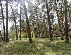 Działka na sprzedaż, Piaseczyński Konstancin-Jeziorna Królewska Góra, 3 650 000 zł, 3180 m2, 59/15902/OGS