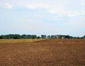 Rolny na sprzedaż, Chełmiński Lisewo, 288 000 zł, 24 000 m2, 497918