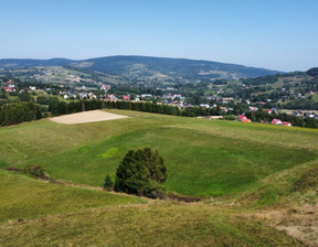 Działka na sprzedaż, Gorlicki Ropa, 150 000 zł, 6600 m2, 325/6152/OGS