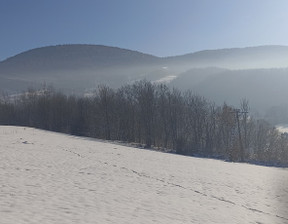 Działka na sprzedaż, Gorlicki Gorlice Szymbark, 56 000 zł, 3500 m2, 320/6152/OGS