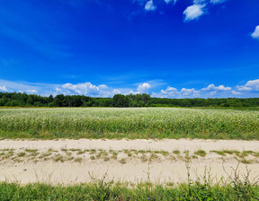 Rolny na sprzedaż, Puławski Kazimierz Dolny, 59 900 zł, 4900 m2, 1672/13924/OGS