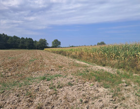 Budowlany na sprzedaż, Łęczyński Cyców Malinówka, 70 000 zł, 3000 m2, 1423/13924/OGS