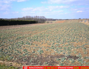 Rolny na sprzedaż, Lubelski Konopnica Motycz, 345 000 zł, 6800 m2, 620/13924/OGS