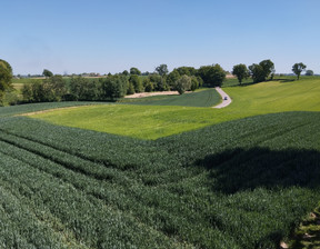 Działka na sprzedaż, Lubelski Jastków Moszenki, 215 000 zł, 2500 m2, 1370/13924/OGS