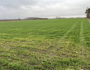 Działka na sprzedaż, Zwoleński Przyłęk Babin, 220 000 zł, 11 082 m2, 1658/13924/OGS