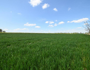 Działka na sprzedaż, Lubelski Bełżyce Podole, 120 000 zł, 1300 m2, 792/13924/OGS