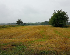 Handlowo-usługowy na sprzedaż, Lublin Bursaki Dłotlice, 4 390 000 zł, 12 600 m2, 754/13924/OGS